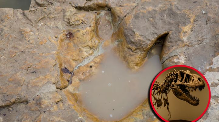 Texas: inundaciones dejan al descubierto huellas de mítico animal; miden medio metro | VIDEO