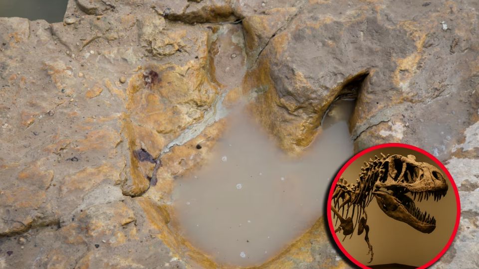 La naturaleza, en su fuerza más destructiva, dejó un recordatorio de que la historia de la Tierra sigue escrita bajo nuestros pies, esperando a ser descubierta