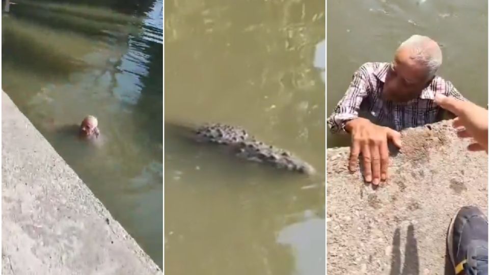 Abuelo es rescatado de canal donde nadaban cocodrilos en Tamaulipas