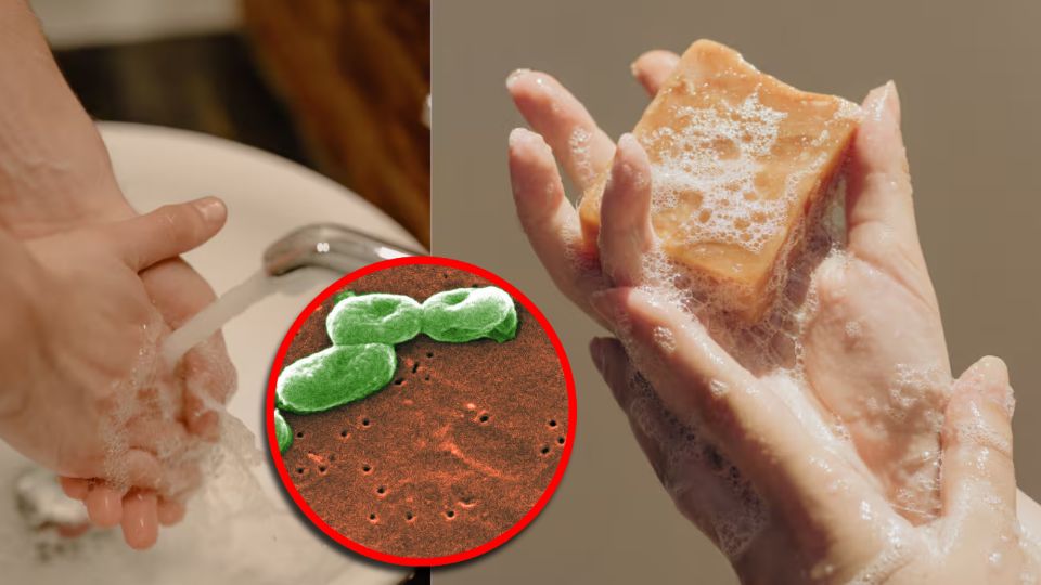 Los afectados incluyen jabones antibacteriales ampliamente usados en entornos médicos por profesionales