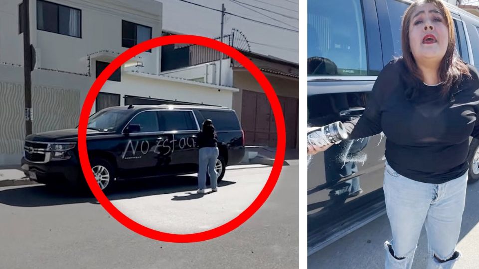 Por grafitear una patrulla le llamaron la 'Lady Aeorosol'.