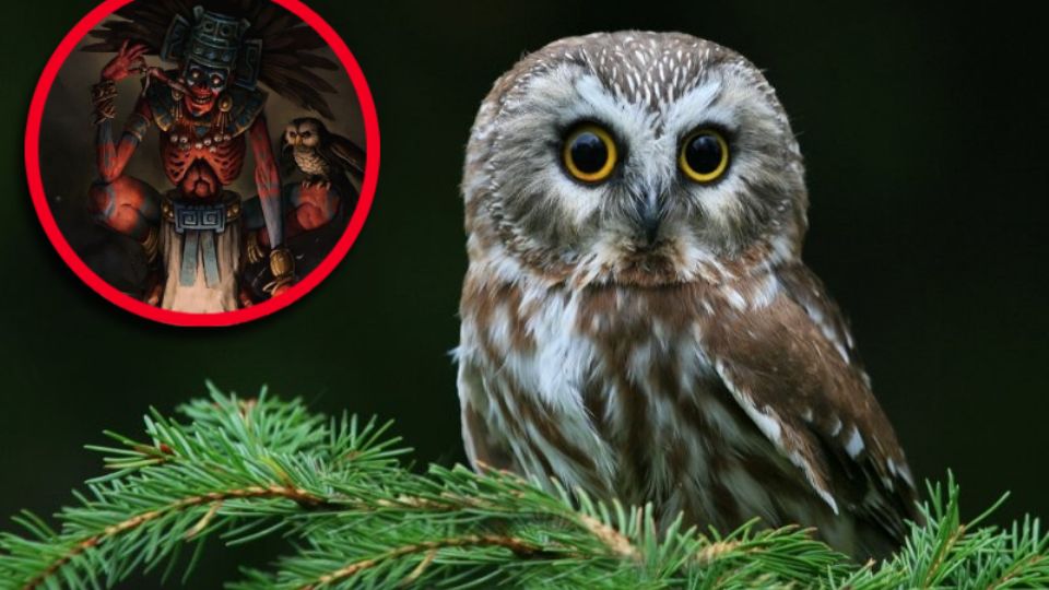 En el Pueblo Mágico de Tula, el ulular nocturno de un búho no es solo un sonido más, está arraigado a creencias ancestrales que inquietan a quien las conoce