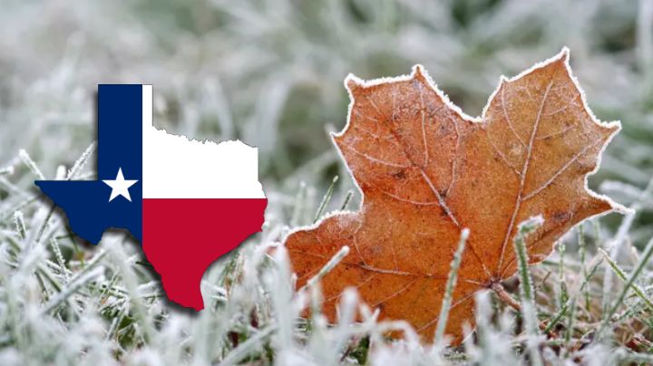 Texas: pronostican intenso frío para el invierno 2025; heladas llegarían en este mes