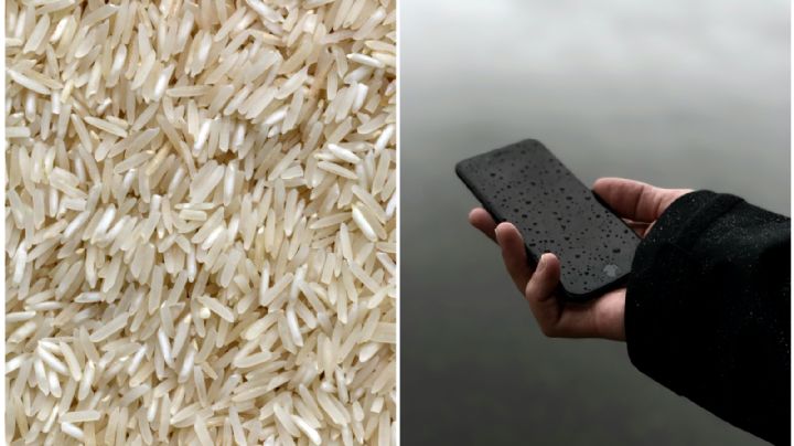 ¿Sirve meterlo en arroz?; estos son los mejores tips para salvar tu celular cuando se moja