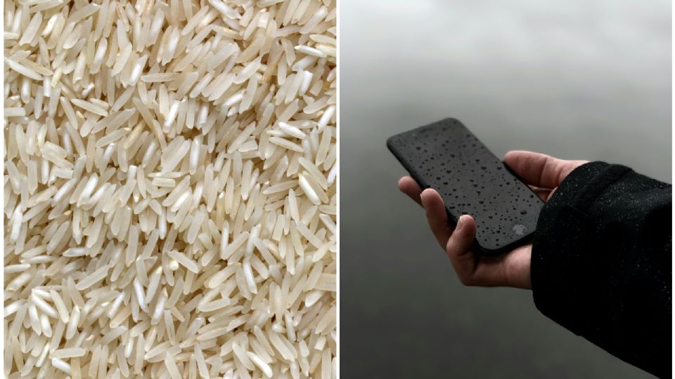 Estos son los mejores tips para cuando tu celular se moja; ¿sirve meterlo en arroz?