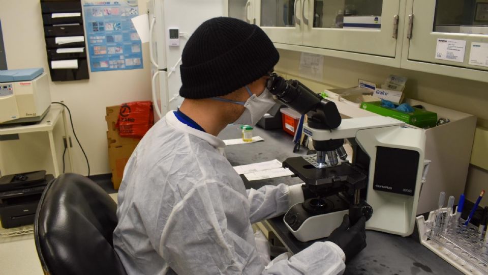 Estudios médicos a bajo costo en Laredo.