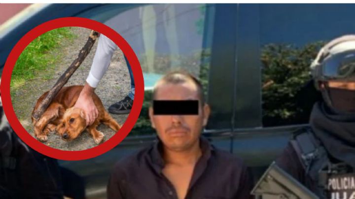 Arrestan a sujeto por golpear y estrangular a un perro en Nuevo León
