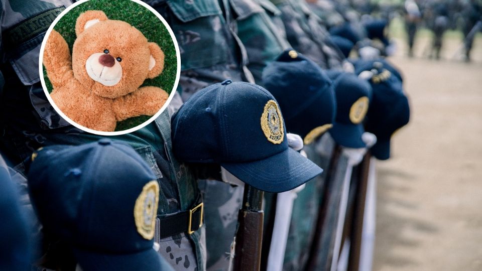Usaban un oso de peluche como mula para transportar drogas