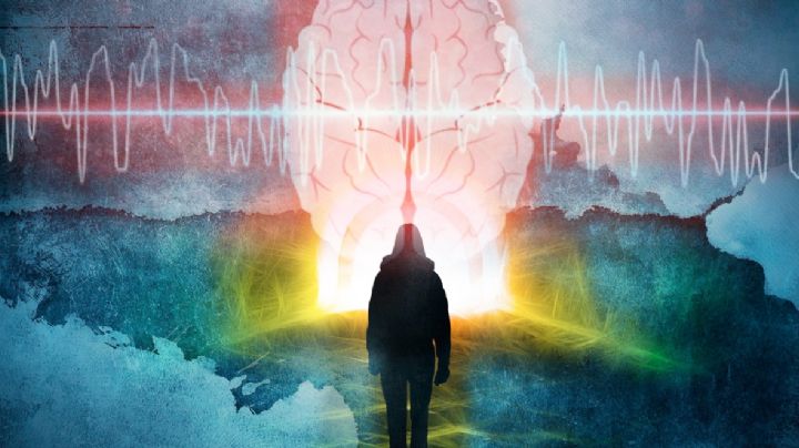 Resurrección cerebral: el avance científico que desafía la frontera entre la vida y la muerte