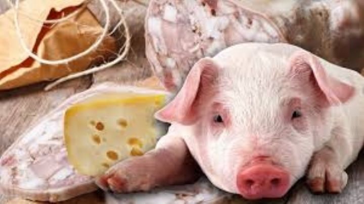 ¿Qué es realmente el queso de puerco?, descubre sus ingredientes y el mal que podría hacerte a la salud