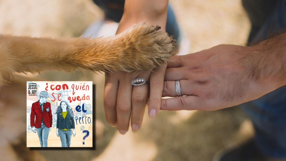 Aprueban ley '¿con quién se queda el perro?' para la custodia de mascotas