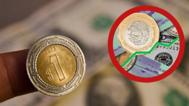 Peso mexicano aguanta los embates del dólar y sale airoso: tipo de cambio del dólar HOY 21 de agosto