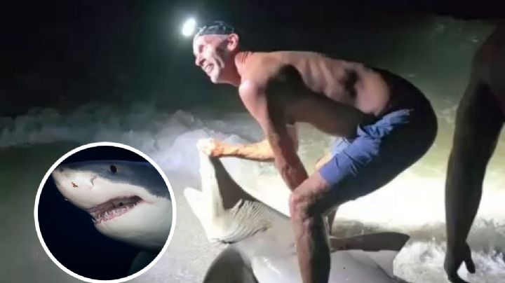 Pescador sufre ataque de tiburón que acababa de cazar; presumía su logro a la orilla del mar | VIDEO