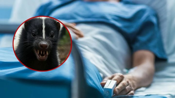 Llegan a Nuevo Laredo 32 mil 500 vacunas contra la rabia