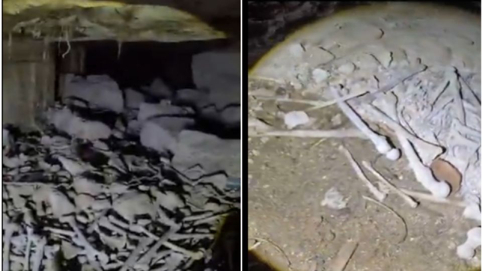 ¿Huesos humanos en famoso parque en México?; esto sabemos