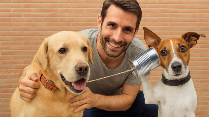 Estas son las palabras que los perros 'entienden' a la perfección, según expertos