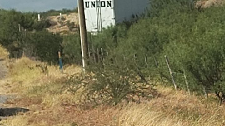 Trailero se salva de morir tras dormirse en la Carretera Monterrey-Nuevo Laredo; así quedó