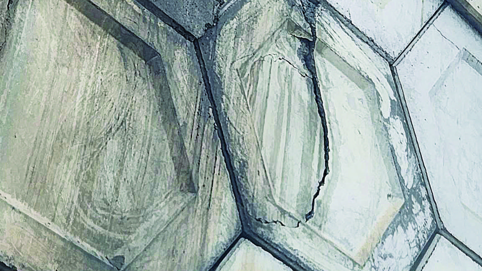 Algunas partes de la estructura muestran fracturas.