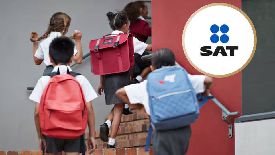 Declaración de impuestos