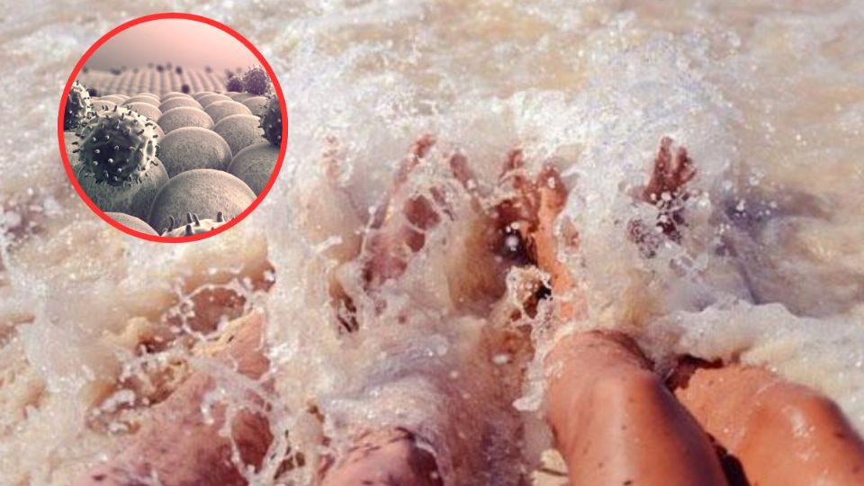 Este fuerte virus le ha provocado la muerte a seis personas