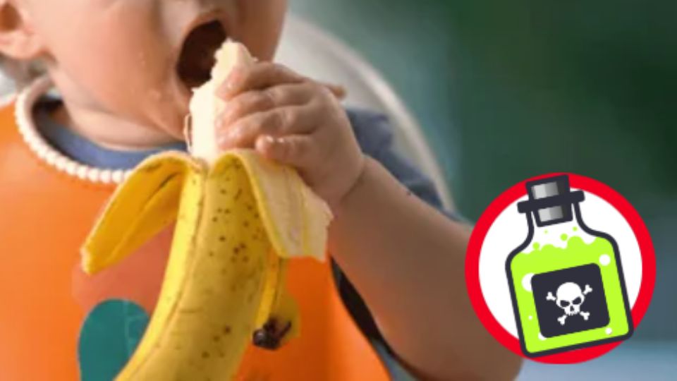 El pequeño comió la fruta en su versión papilla, presentando síntomas graves a las pocas horas de su consumo