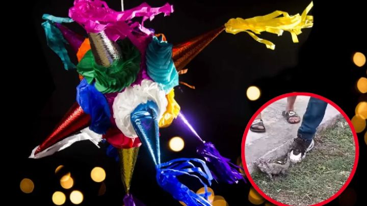 Rompen piñatas llenas de animales vivos en fiesta; niños los seguían golpeando al caer | VIDEO