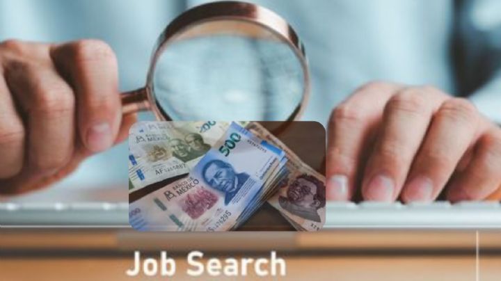 ¿Te imaginas ganar 60 mil pesos al mes?; oficio más rentable y sin estar titulado