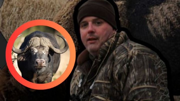 Texano pierde la vida al ser embestido por búfalo africano en safari; su 'presa' lo cazó primero