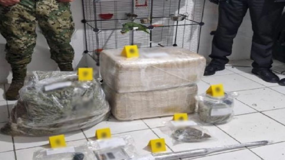 Incautan drogas en Coahuila.