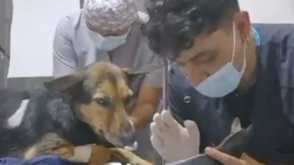 El joven conmovió las redes sociales