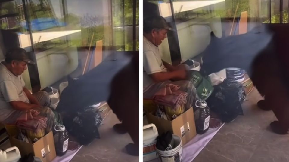 El albañil tenía nervios de acero