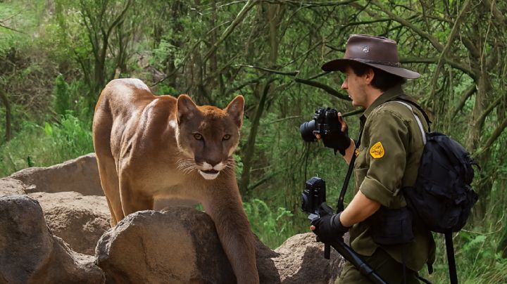 ¿Turismo en riesgo en Nuevo León? captan a puma y oso negro en famoso parque