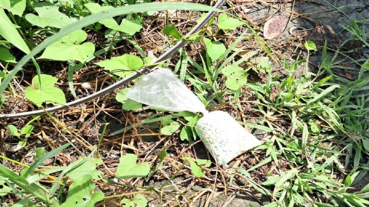 Elementos de la Guardia Nacional aseguran 977 pastillas de fentanilo en Sinaloa