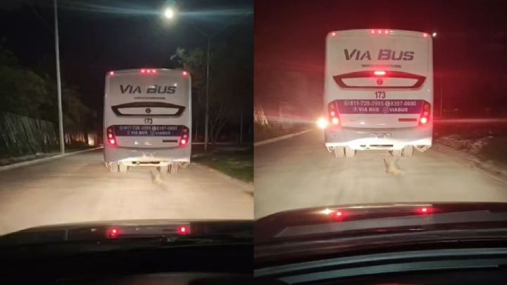 Transporte de personal en Nuevo León arrastra brutalmente a un perrito | VIDEO