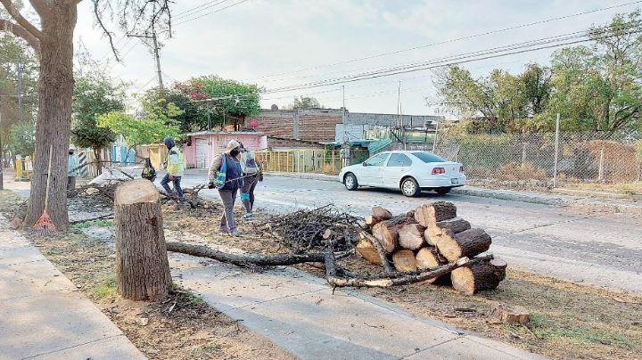 Refuerzan en Nuevo Laredo la protección ambiental