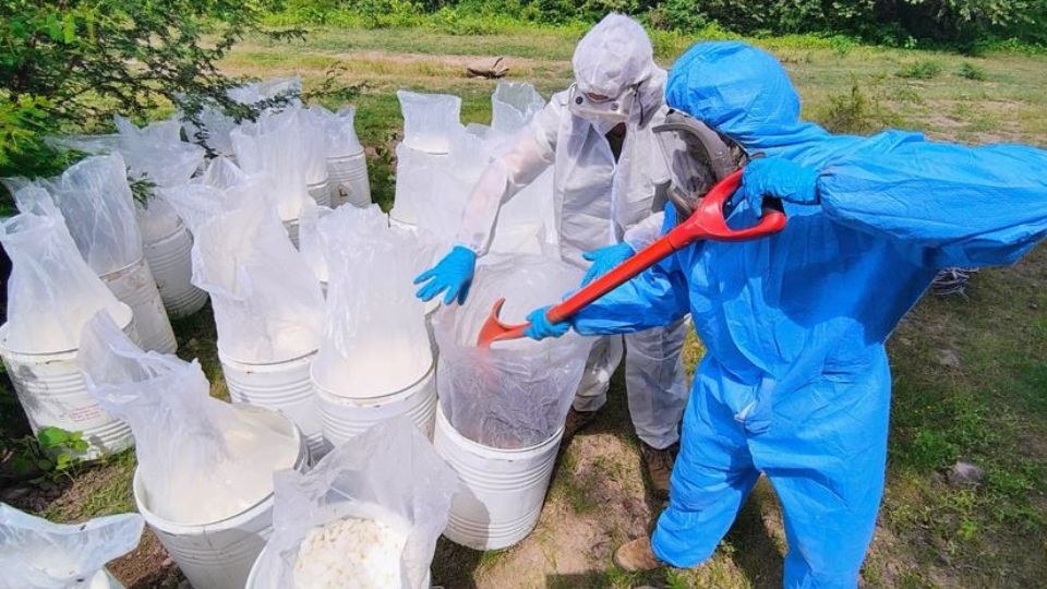 El operativo más significativo se desarrolló en Culiacán y Cosalá, Sinaloa, donde elementos del Ejército Mexicano localizaron e inhabilitaron 15 áreas de concentración