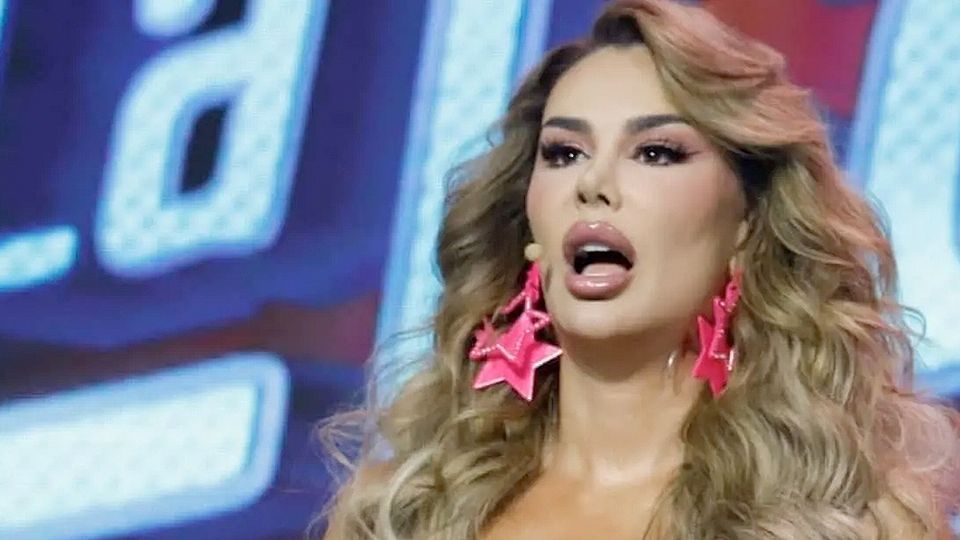 Ninel Conde se metió en serios problemas