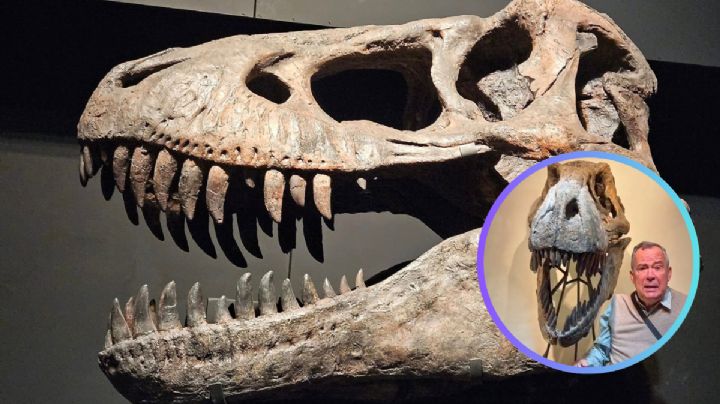 Mauricio Fernández y su legado cultural; Museo La Milarca exhibe una pieza de 6 millones de dólares