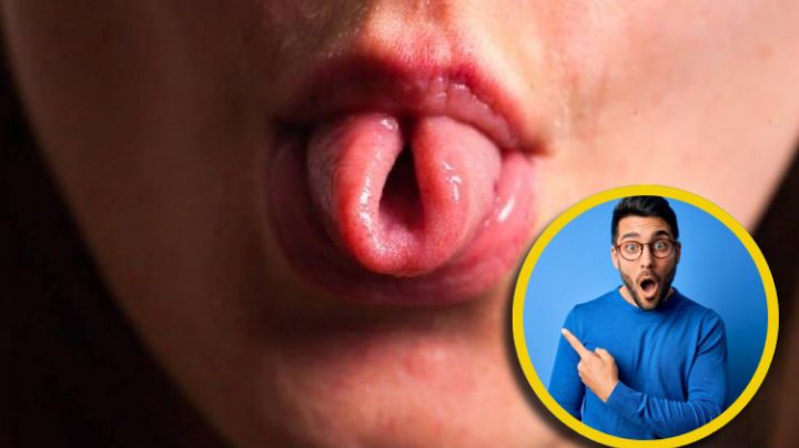 ¿Por qué no todos pueden 'hacer taquito' con la lengua?; un rasgo genético que divide al mundo