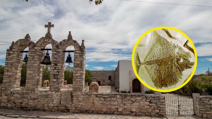 Pueblo de Nuevo León donde encuentras fósiles de hace más de 90 millones de años