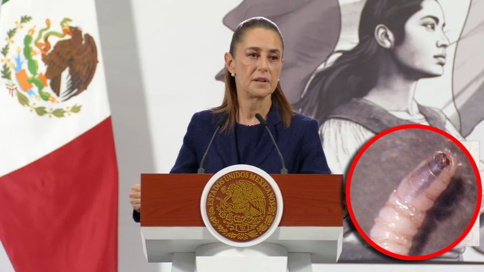 Sheinbaum adelantó que en breve comenzará a operar la planta de producción de moscas estériles, considerada una de las herramientas más efectivas para frenar la expansión de la plaga
