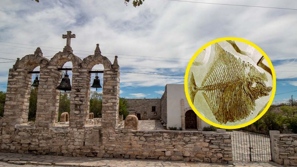 Vallecillo, Nuevo León es considerado un lugar con fósiles