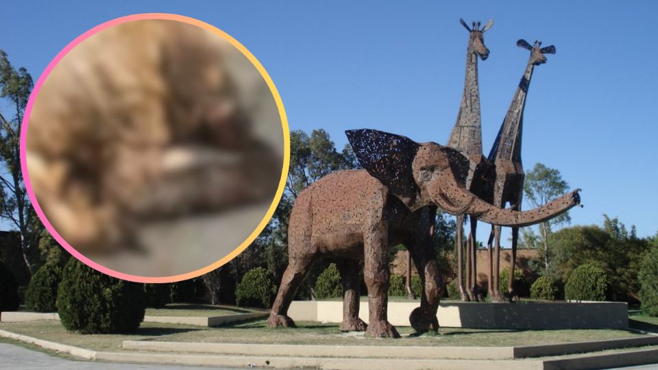 La Pastora bajo la lupa