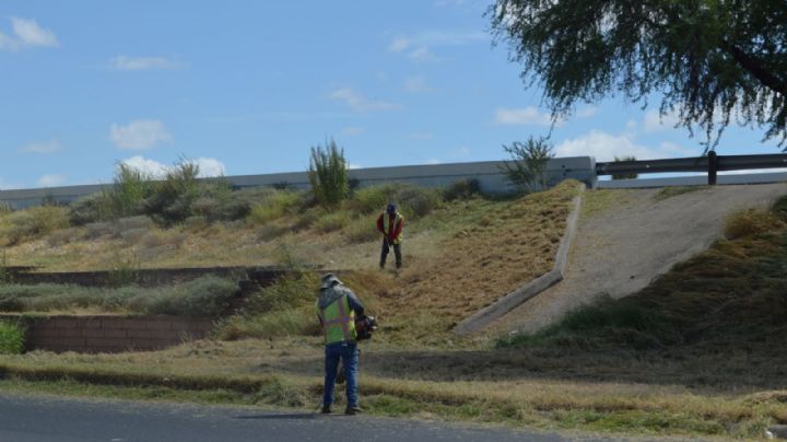Laredo alcanza 5% de desempleo y preocupa a autoridades; ¿se avecina una crisis laboral local?