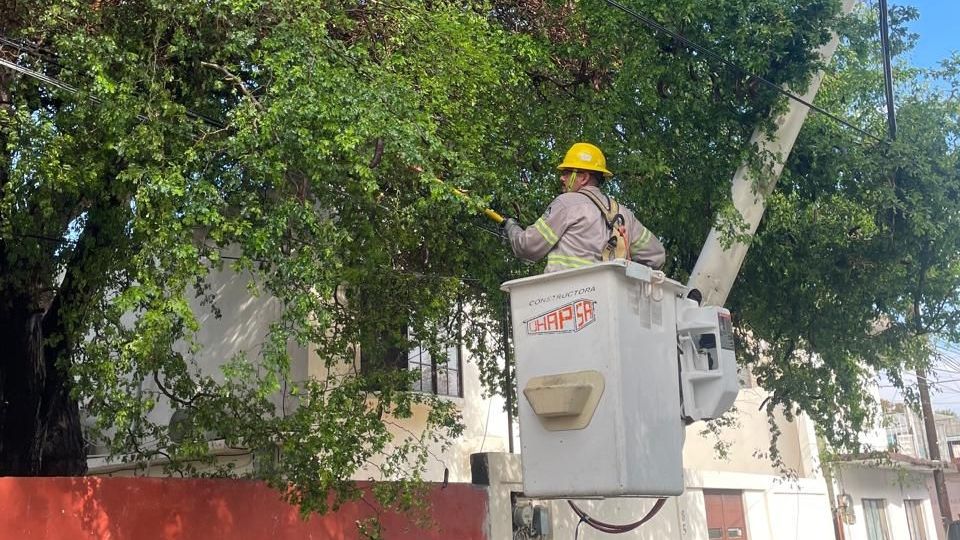 Elementos de CFE trabajando.