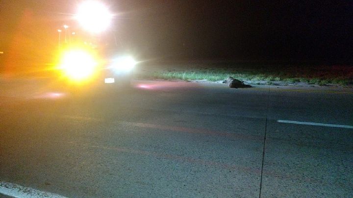 Siguen sin identificar a abuelito que murió atropellado en la autopista a Nuevo Laredo