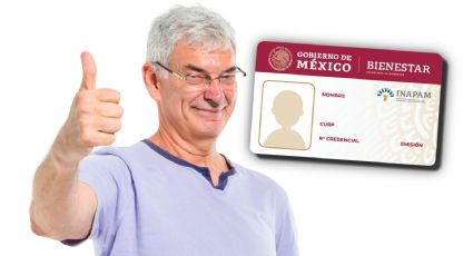 INAPAM: ¿cómo consultar todos los descuentos disponibles en septiembre de 2025?