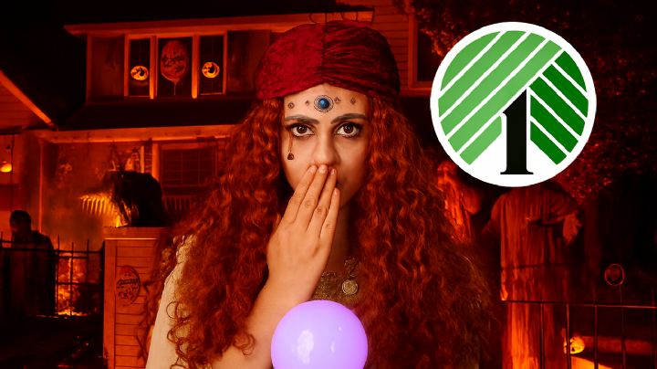 Dollar Tree: transforma tu casa en la mansión más terrorífica del barrio; desde 1.50 dólares