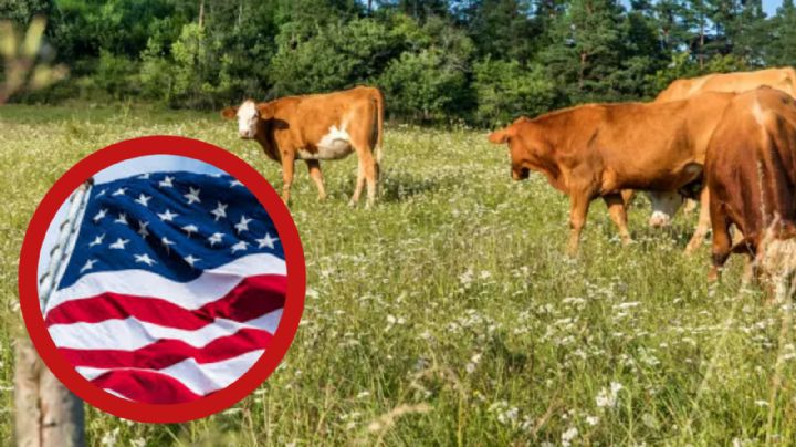 ¿Buscas trabajo en Estados Unidos?, en este puesto dan vivienda, comida y sueldo de 2,058 dólares