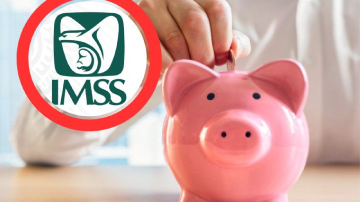 ¿No tienes patrón pero quieres cotizar en el IMSS?; esto es lo que debes hacer